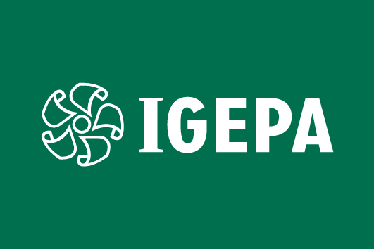 Igepa Group carton compact micro cannelure fournisseur karton papier 